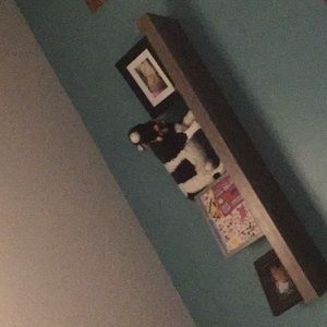 Meet your Posher, Clayton